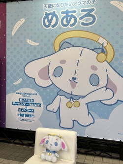 ꡼ No.016Υͥ / GiGO EXPO ZERO鳫šߥ塼ȻߤΡֺפȡ֤줫פոǳڤǤ