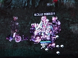 ������#032�Υ���ͥ���/�������κǿ��������о졪���֥饰�ʥ�������饤��ץե��󴶼պפǡ��ե�����˾���Ҹ����̥��åפʤɤ�ȯɽ