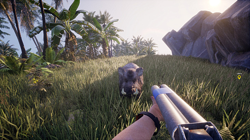 画像ギャラリー No.003のサムネイル画像 / 無人島サバイバル「Away from Life」，早期アクセス版を配信開始。美しい大海原に囲まれた過酷な島々からの脱出を目指せ！