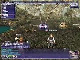 FFXI˿ƥĤо졪󥹥ƱΤ碌֥ѥ󥯥ƥפο