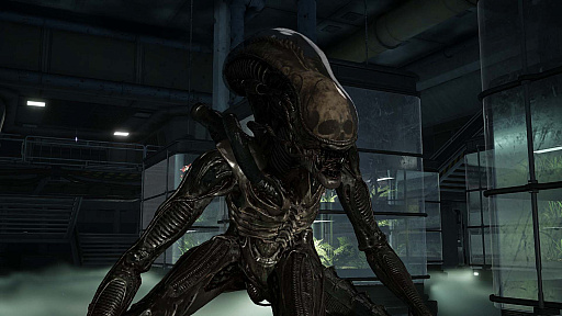 画像ギャラリー No.005のサムネイル画像 / 「Aliens: Fireteam Elite 2」，2026年夏のリリースを発表。4人の植民地海兵隊員がゼノモーフの群れと戦うサバイバルシューター