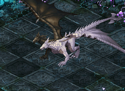 ꡼ No.002Υͥ / ֥ƥ륺СסƤ緿åץǡȡNEW WAVEפۿ