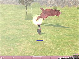 画像ギャラリー No.008のサムネイル画像 / 「マビノギ」，格闘家が実装。「格闘術」スキルやオリジナルストーリーが追加