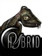 �ѥå�����