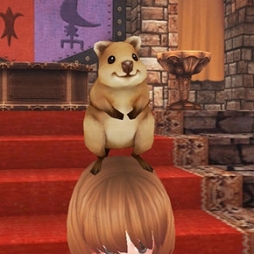 画像ギャラリー No.011のサムネイル画像 / 「ファンタジーアース ゼロ」,新旧アクセサリが登場する「アクセサリルーレット」を開始