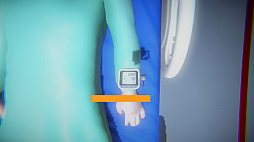 Doctor Pigeon Simulator