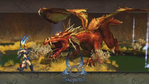 Sacred 2: Fallen AngelPhysXǥ