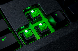 Razer BlackWidow Ultimateפɿũͤǥ˥塼