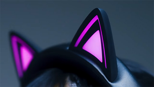 ꡼ No.005Υͥ / ǭԥԥRazerΥ磻쥹إåɥåȡKraken Kitty V3 Proפ95ȯ