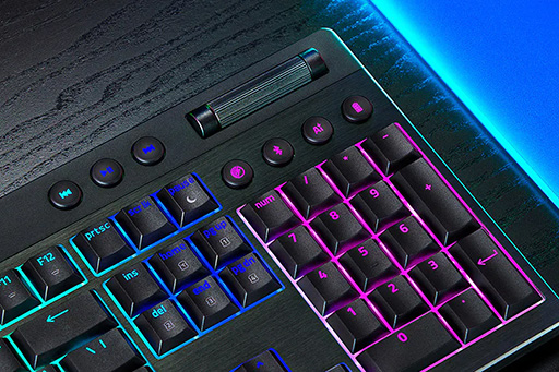 ꡼ No.005Υͥ / RazerإפΥᥫ˥륭ܡɡBlackWidow V4 Low-Profile HyperSpeedפ95ȯ䡣ե륭10쥹Ѱ