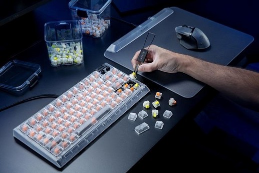 ꡼ No.003Υͥ / ȾƩRazerյ亮꡼˥ۥ磻ȤΥХ꤬о