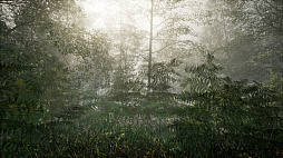 Obey the Rules: Forest