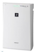 ���������꡼ No.006�Υ���ͥ������ / plaync��BitCashƳ����ǰ�������ǥǥ������ڥ󥿥֤���館��