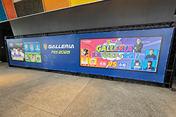 ꡼ No.003Υͥ / ȥեξФ䤨ʤäꥢ륤٥ȡGALLERIA ե 2025פ˻äƤ