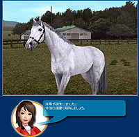 画像集#001のサムネイル/最強馬を生みだせ! 「Gallop Racer ONLINE」に生産システムが実装