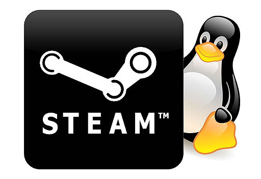 画像ギャラリー No.002のサムネイル画像 / Valveの「Steam」および「Source Engine」が，Linuxに対応