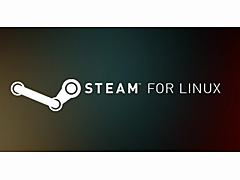 ValveLinuxSteamΦ¥饤Ȥ򥢥åץǡȤSteam Playεǽ򶯲