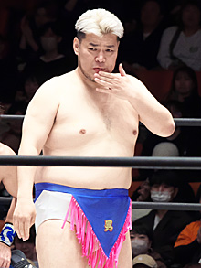 ���������꡼ No.009�Υ���ͥ������ / �˿��ǥ����ΤΥ�����ҥҥ硼 ��������832��֤���ϻȤ�����ˤ����ɡ�