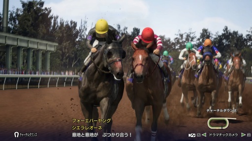 ꡼ No.005Υͥ / ˿ǥΤΥҥҥ硼 840ִʤڤ