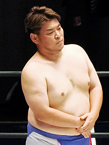 ꡼ No.003Υͥ / ˿ǥΤΥҥҥ硼 860֥Ȥ