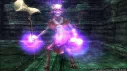 画像ギャラリー No.003のサムネイル画像 / 「Wizardry Online」，「忘却の寺院」に新デプスゲートが実装。新武器も登場