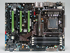 ϥɤΥץ饤ɤݤƤ뤫GeForce 9800 GTXץӥ塼Ǻ