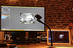 ���������꡼ No.014�Υ���ͥ������ / Amazon�Ρ�200����Ķ�Υ��ڥå���10���ߡפʥ�����PC���ǽ������ʤ򸫤Ƥ����������ʥ��ڥå��ΥΡ���PC�Ȥ�ɤ⡤10��13������������ϸ�ƨ����