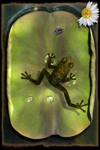 iPhoneϤ䤱˥ꥢʥۿΥѥAncient FrogפҲ