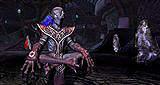 EverQuest IIThe Shadow Odyssey褤ȯ䡣ǸΥץӥ塼ĥѥåοʥƥĤʬࡼӡUp