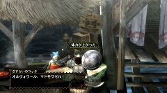 画像ギャラリー No.069のサムネイル画像 / 「モンスターハンター3(トライ)」,より“狩猟生活”を実感できる“モガの森”やシングルモードの拠点“モガの村”の先行プレイレポートをお届け