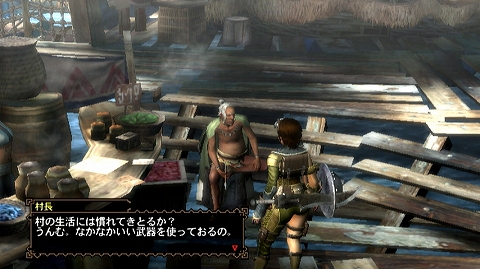 画像ギャラリー No.070のサムネイル画像 / 「モンスターハンター3(トライ)」,より“狩猟生活”を実感できる“モガの森”やシングルモードの拠点“モガの村”の先行プレイレポートをお届け