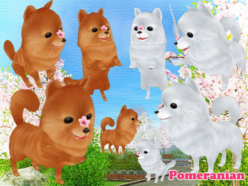 ���������꡼ No.003�Υ���ͥ������ / ��MILU�פǡ�2017�����٥�ȡɤ�1���ܤ����롣�����꡼�ݥ��˥���ʤɤ��о�