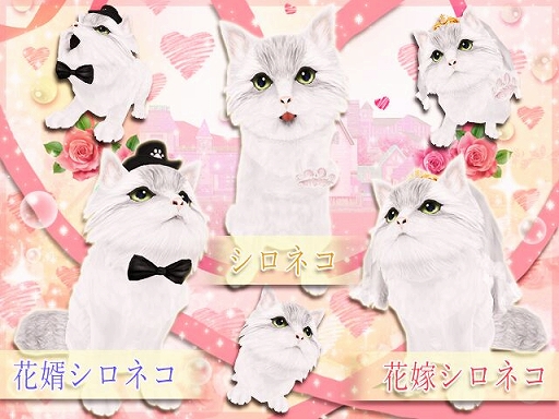 画像ギャラリー No.004のサムネイル画像 / 「MILU」,2018ブライダルイベントの1週目が開催中