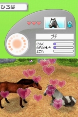 奢륷꡼2980 Petz Horsez ۡ