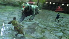 ���������꡼ No.014�Υ���ͥ������ / �ष���𾭤����ˡ������⤷��ʤ��������BASARA3�פǤϤ��ʤ����Ū�ʡ������μ�ɤ��ץ쥤�䡼���Ԥ�������