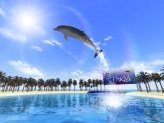 画像ギャラリー No.002のサムネイル画像 / Wiiウェア「SEAFARM〜イルカとわたしのショータイム〜」が本日配信開始