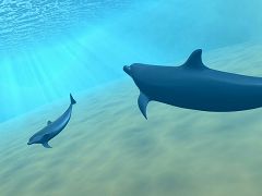 画像ギャラリー No.004のサムネイル画像 / 目指せ賞金100万円。「SEAFARM」，ハイスコアを競うイベント開催
