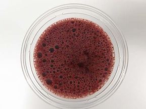 画像ギャラリー No.003のサムネイル画像 / 「ゴースト トリック」,「ジューサーバー」とのタイアップで“謎付き”(?)のミステリードリンクを販売。テレビCM映像の先行公開も