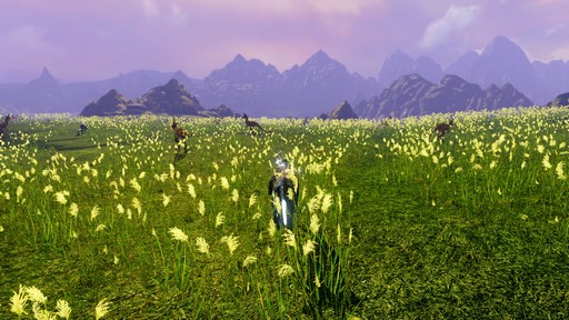 ArcheAge׿쥤ɥܥ֥꡼ץץ쥤ݡȡؤ줿ˡĻȤ絬Ϥ褬Ϥޤ롪