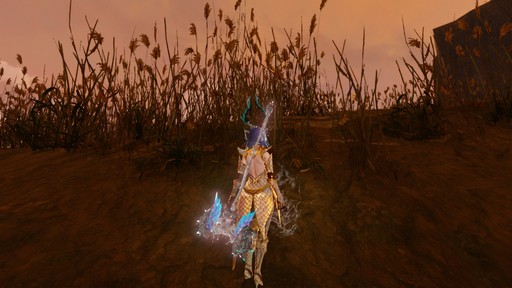 ArcheAge׿쥤ɥܥ֥꡼ץץ쥤ݡȡؤ줿ˡĻȤ絬Ϥ褬Ϥޤ롪