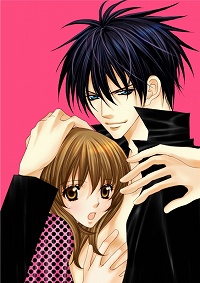 ���������꡼ No.002�Υ���ͥ������ / ��������������ã������ˡ� NDS�ѽ�����������ADV����ŷ�ȤδŤ�Ͷ�ǡ߲����ե졼���ס��ե�塼����2010ǯ2��18����ȯ��