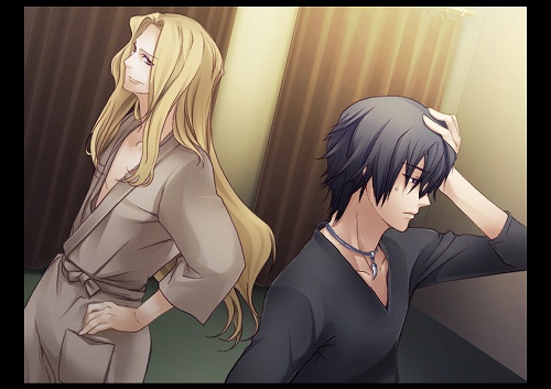 ���������꡼ No.003�Υ���ͥ������ / ��������������ã������ˡ� NDS�ѽ�����������ADV����ŷ�ȤδŤ�Ͷ�ǡ߲����ե졼���ס��ե�塼����2010ǯ2��18����ȯ��