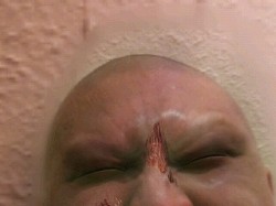 ꡼ No.005Υͥ / ޥեĤ󼡸褤2֥ݥݥ륾Ӥǥե᥿ʶƻζǡ