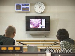 ꡼ No.006Υͥ / ޥեĤ󼡸褤2֥ݥݥ륾Ӥǥե᥿ʶƻζǡ