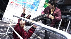 ꡼ No.013Υͥ / ޥեĤ󼡸褤2֥ݥݥ륾Ӥǥե᥿ʶƻζǡ