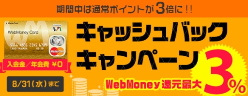  No.001Υͥ / WebMoney CardפδԸŵ3ܤˤʤ륭ڡ󤬳Ť