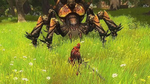 RaiderZ ڹǥץ쥤ࡼӡ