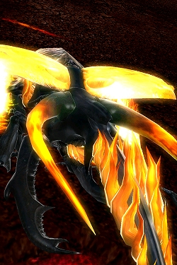 画像ギャラリー No.005のサムネイル画像 / 「ムシキングバトル」,“超合虫カード”など新カード50種が排出開始