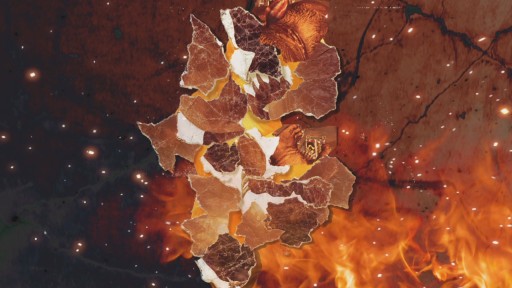 STREET FIGHTER X Ŵץƥࡼӡ8