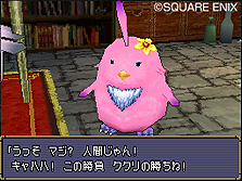 画像ギャラリー No.024のサムネイル画像 / NDS「ドラゴンクエストモンスターズ ジョーカー2 プロフェッショナル」,新マップ「ピピッ島」の情報およびスクリーンショットが公開